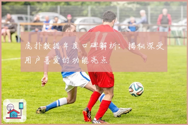 虎扑数据年度口碑解析：揭秘深受用户喜爱的功能亮点
