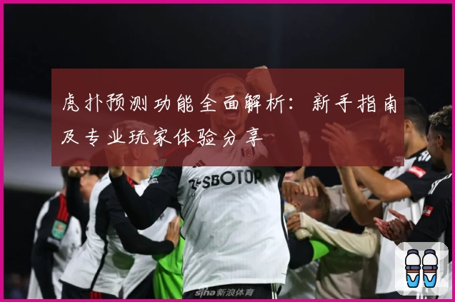 虎扑预测功能全面解析：新手指南及专业玩家体验分享