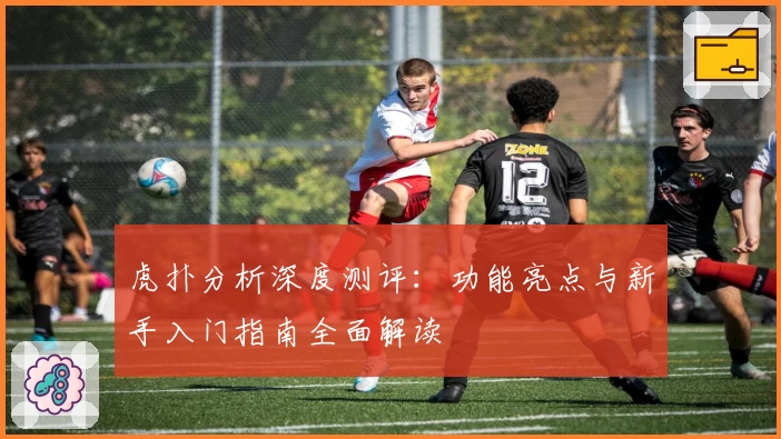 虎扑分析深度测评：功能亮点与新手入门指南全面解读