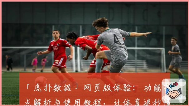 「虎扑数据」网页版体验：功能亮点解析与使用教程，让体育迷秒懂新玩法