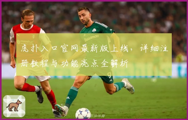 虎扑入口官网最新版上线，详细注册教程与功能亮点全解析