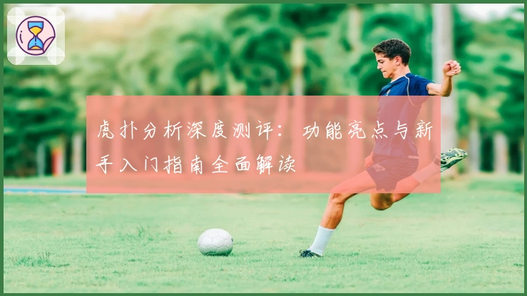 虎扑分析深度测评:功能亮点与新手入门指南全面解读